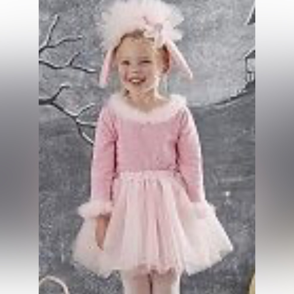 Pottery barn Kids , Pink poodle costume. Size 4/6.